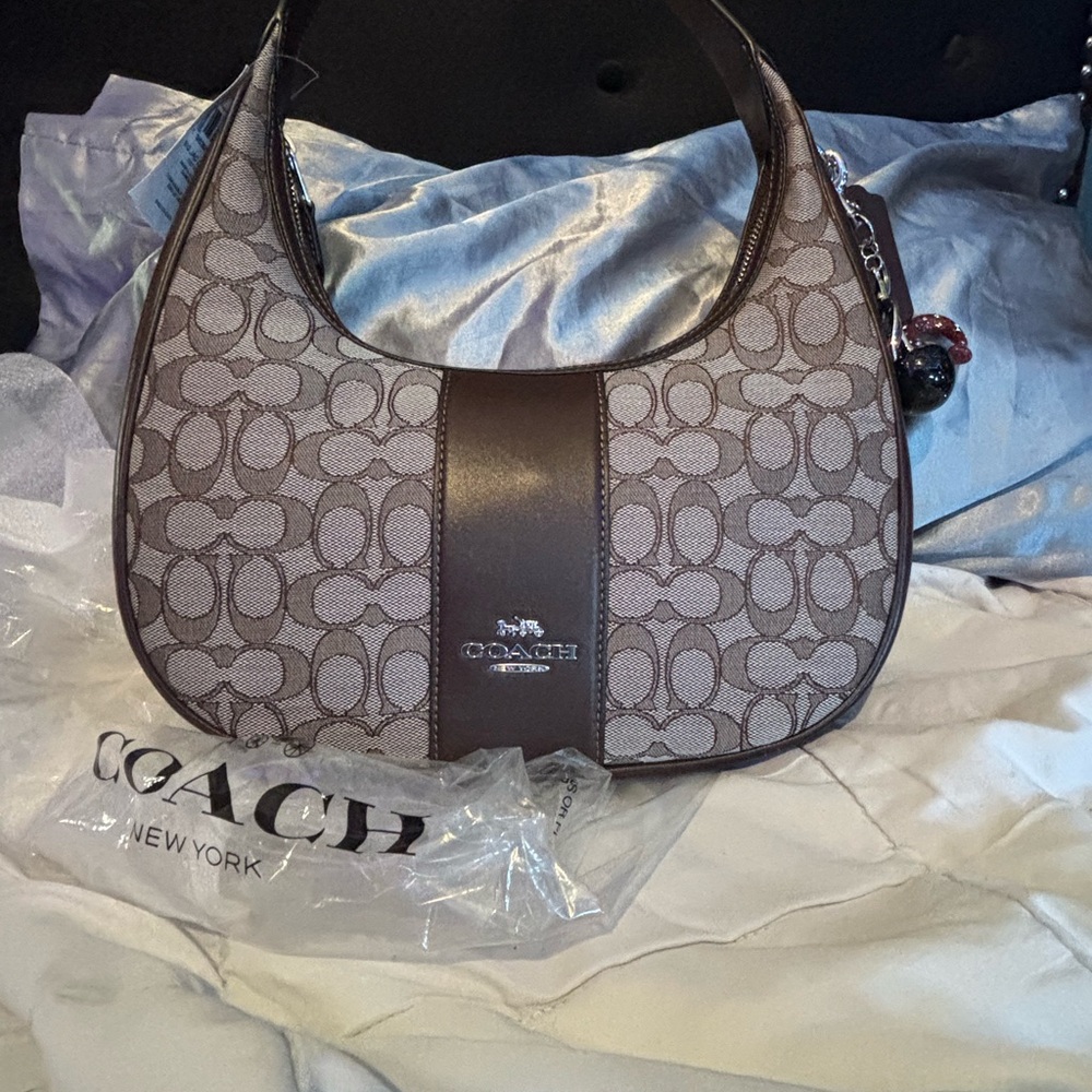 Coach Signature Pattern Hobo Bag in Gray and Brown